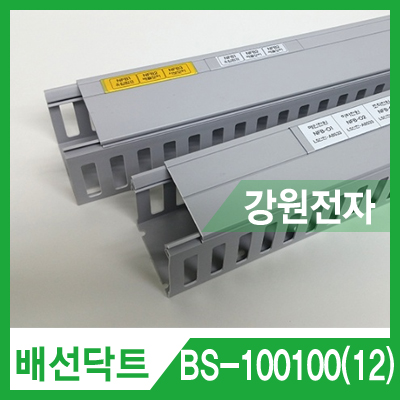 배선닥트 BS-100100(12) 와이러링 닥트 (100x100mm/길이 2m/12mm 라벨/그레이)