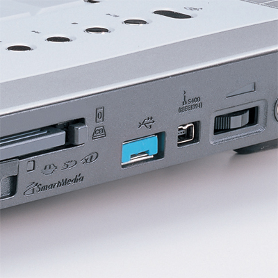 강원전자 산와서플라이 SL-46-BL 스윙형 USB포트 연결 잠금장치(블루)