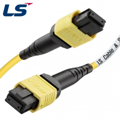 LS전선 SM 12C MPO 광점퍼코드 2m LS-MTC-FF-SM-12ZB-002